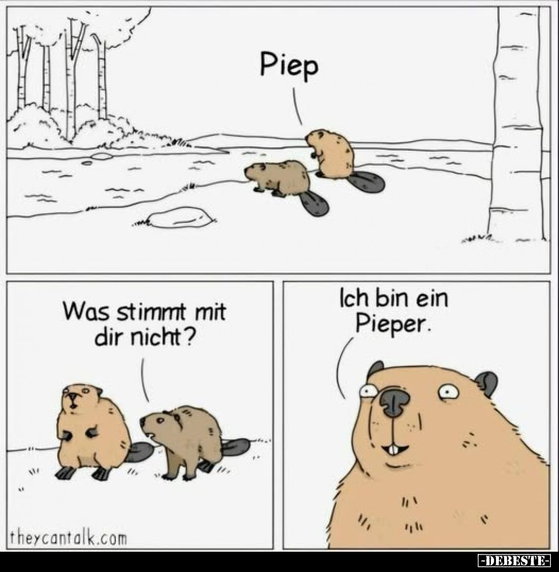 Piep
-
Was stimmt mit dir nicht?
-
Ich bin ein Pieper.