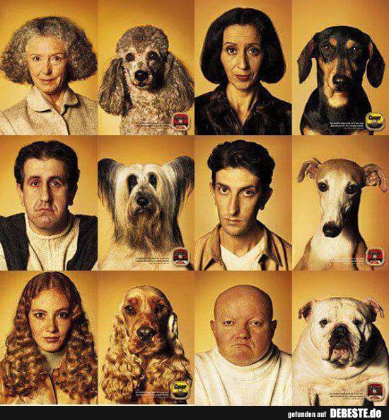 Wer passt sich wem an?