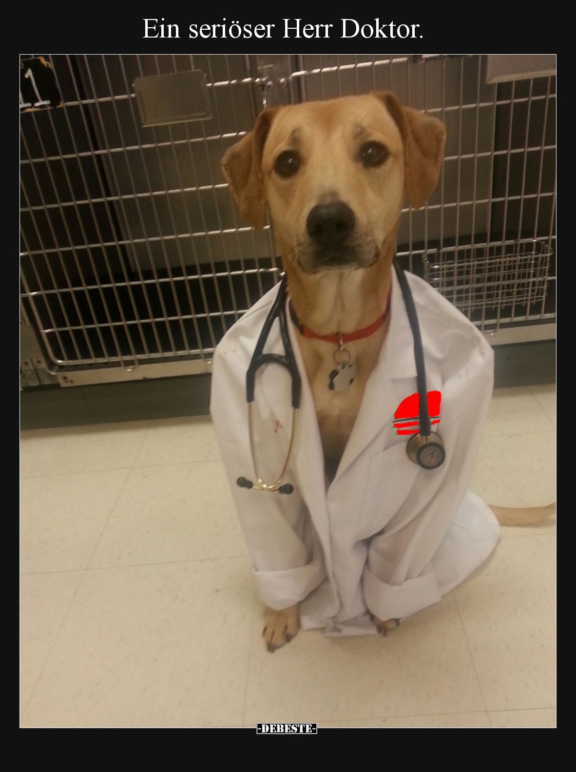 Ein seriöser Herr Doktor.