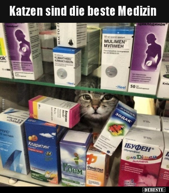 Katzen sind die beste Medizin... - Lustige Bilder | DEBESTE.de