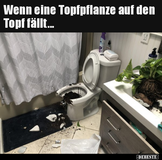 Wenn eine Topfpflanze auf den Topf fällt... - Lustige Bilder | DEBESTE.de