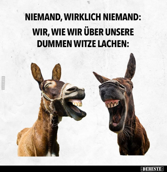 Niemand, wirklich niemand: Wir, wie wir über unsere dummen.. - Lustige Bilder | DEBESTE.de