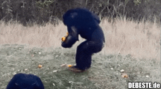 Bevor man 2 mal geht...