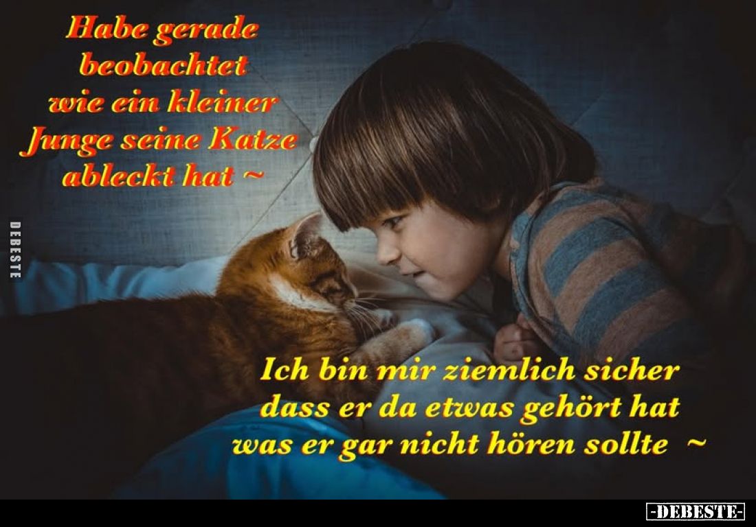 Habe gerade beobachtet wie ein kleiner Junge seine Katze ableckt hat ~
Ich bin mir ziemlich sicher dass er da etwas gehört h...
