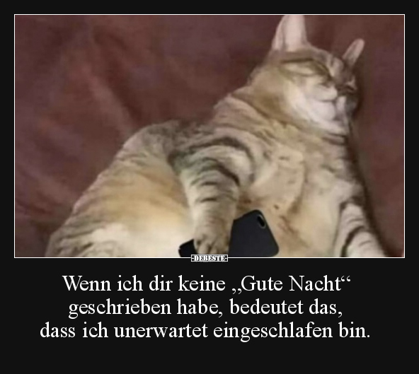 Wenn ich dir keine "Gute Nacht" geschrieben habe.. - Lustige Bilder | DEBESTE.de