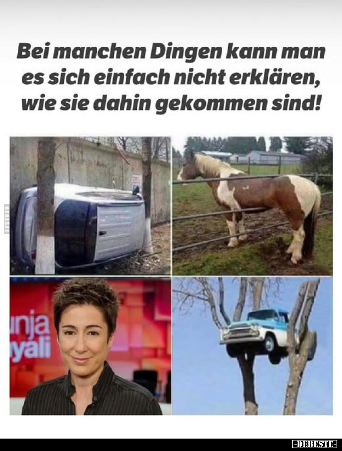 Bei manchen Dingen kann man es sich einfach nicht erklären, wie sie dahin gekommen sind!
