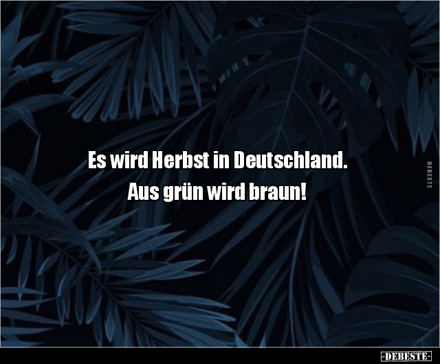 Es wird Herbst in Deutschland. Aus grün wird braun!..