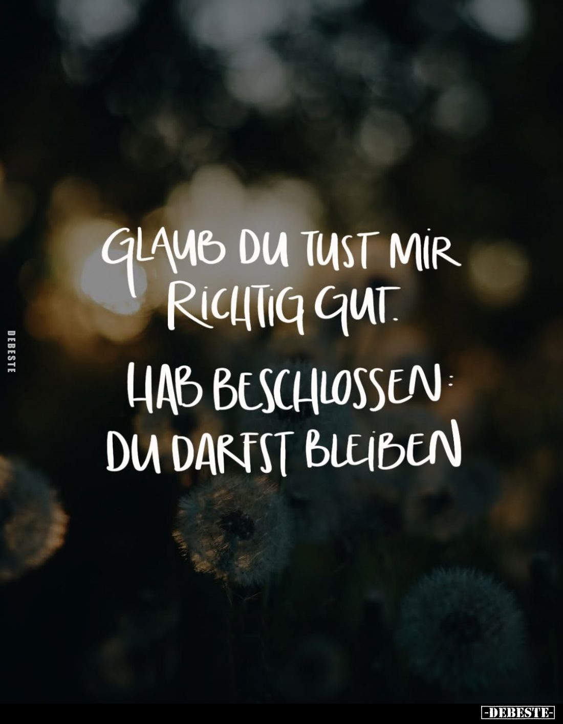 Glaub du tust mir richtig gut. Hab beschlossen: du darfst bleiben.