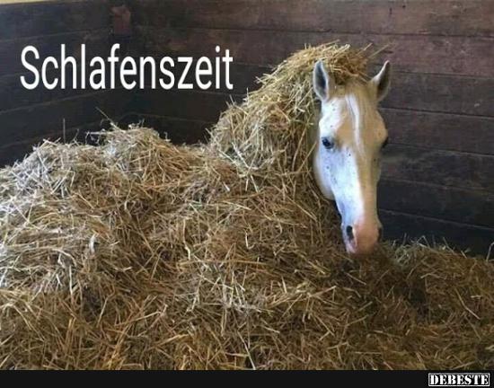 Schlafenszeit.. - Lustige Bilder | DEBESTE.de