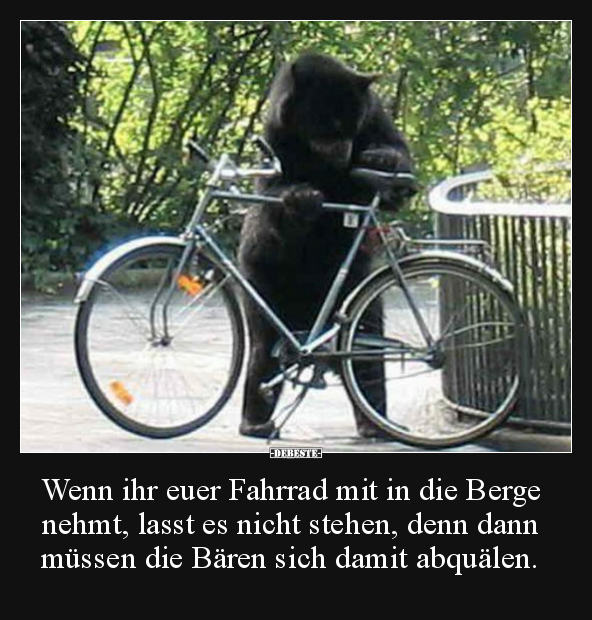 Wenn ihr euer Fahrrad mit in die Berge nehmt, lasst es.. - Lustige Bilder | DEBESTE.de