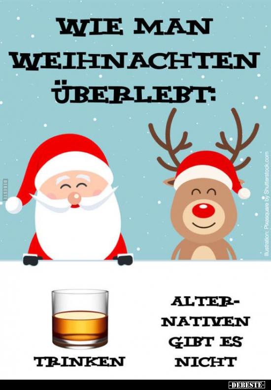 Wie man Weihnachten überlebt... - Lustige Bilder | DEBESTE.de