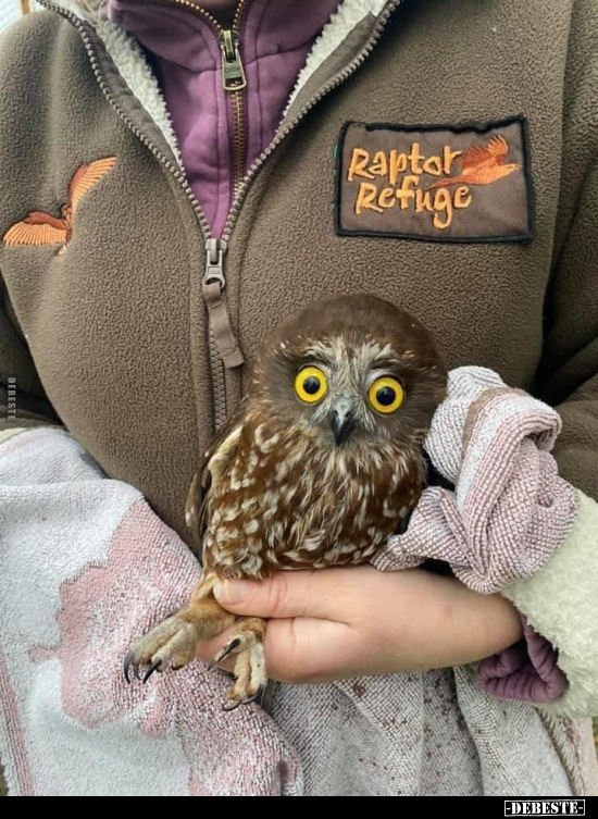  - Lustige Bilder | DEBESTE.de