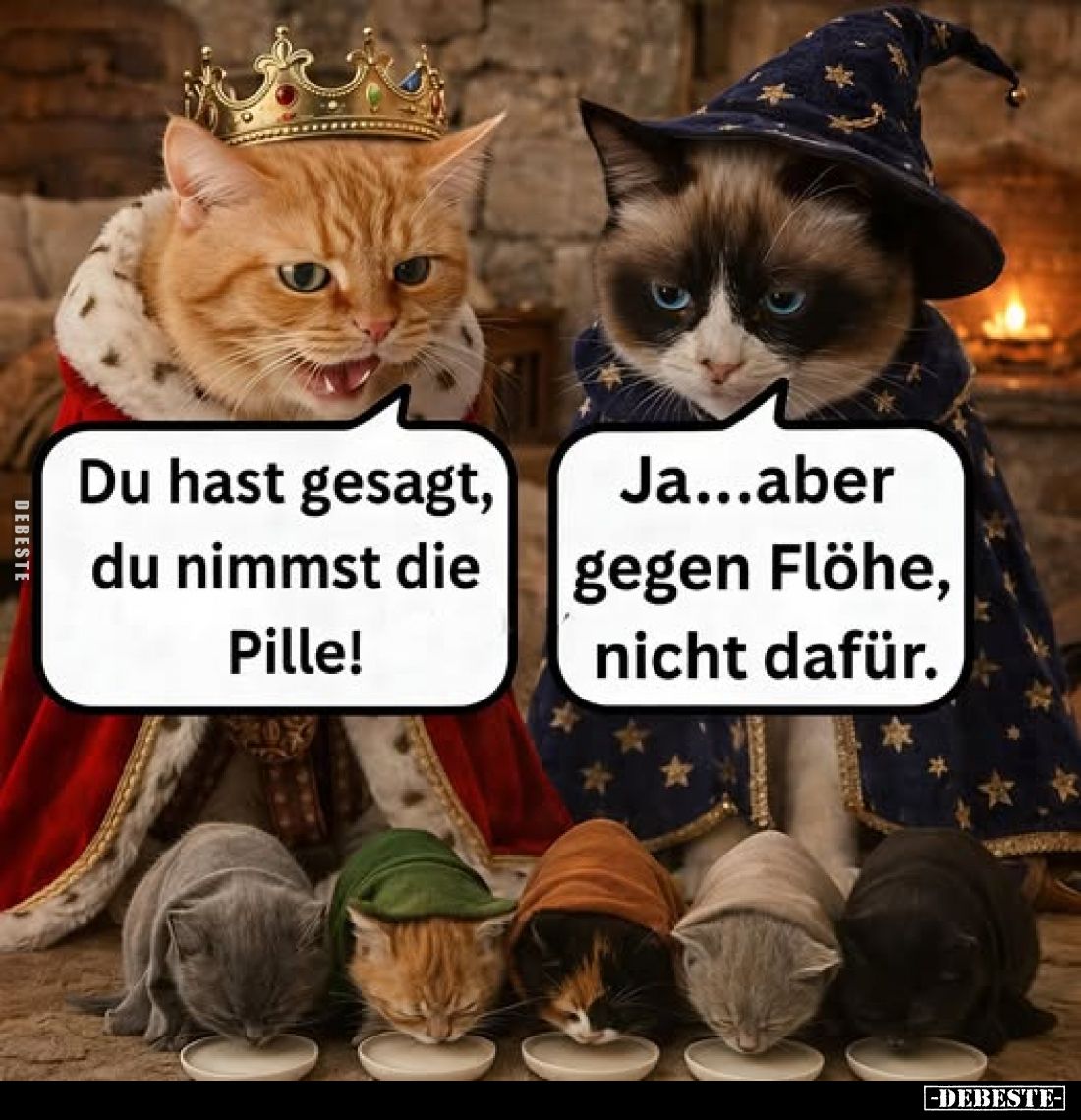 Du hast gesagt, du nimmst die Pille! -
Ja... aber gegen Flöhe, nicht dafür.