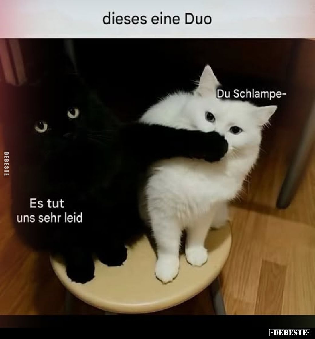 Dieses eine Duo
-
Du Schlampe-
-
Es tut uns sehr leid