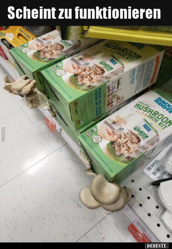 Scheint zu funktionieren..