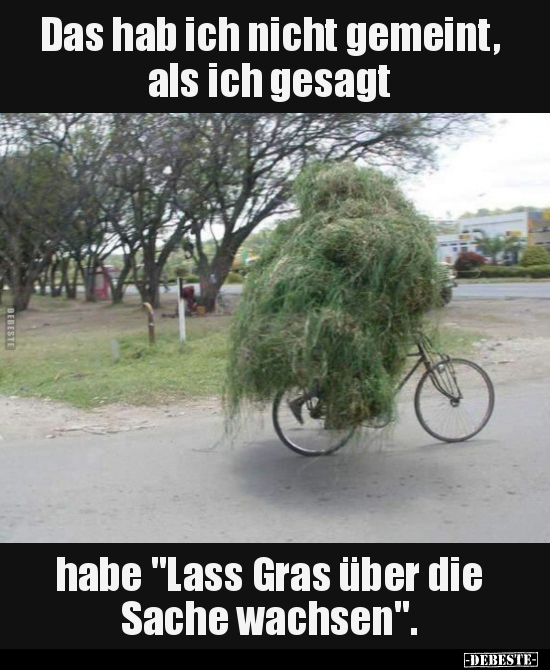 Das hab ich nicht gemeint, als ich gesagt...