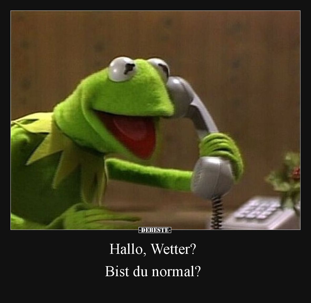 Hallo, Wetter?

Bist du normal?