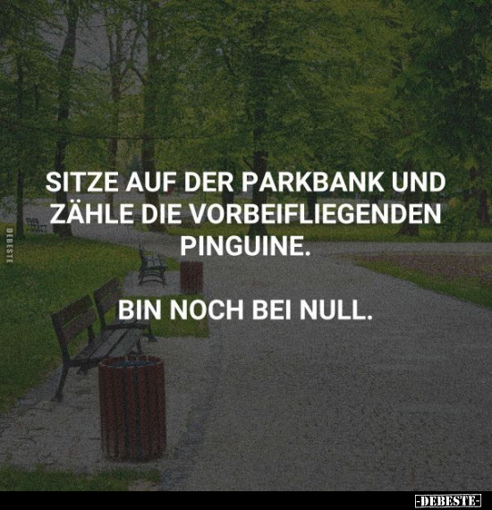 Pinguine, Null