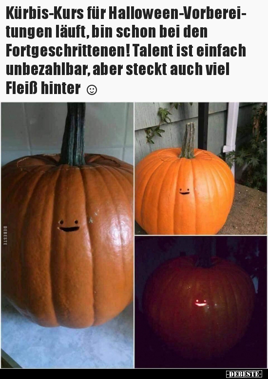 Kürbis-Kurs für Halloween-Vorbereitungen läuft, bin schon.. - Lustige Bilder | DEBESTE.de