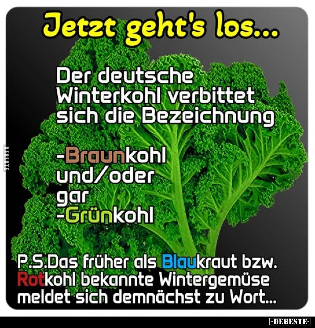 Jetzt geht's los... -
Der deutsche Winterkohl verbittet sich die Bezeichnung. 
- Braunkohl und/oder
gar Grünkohl. -
P.S.D...