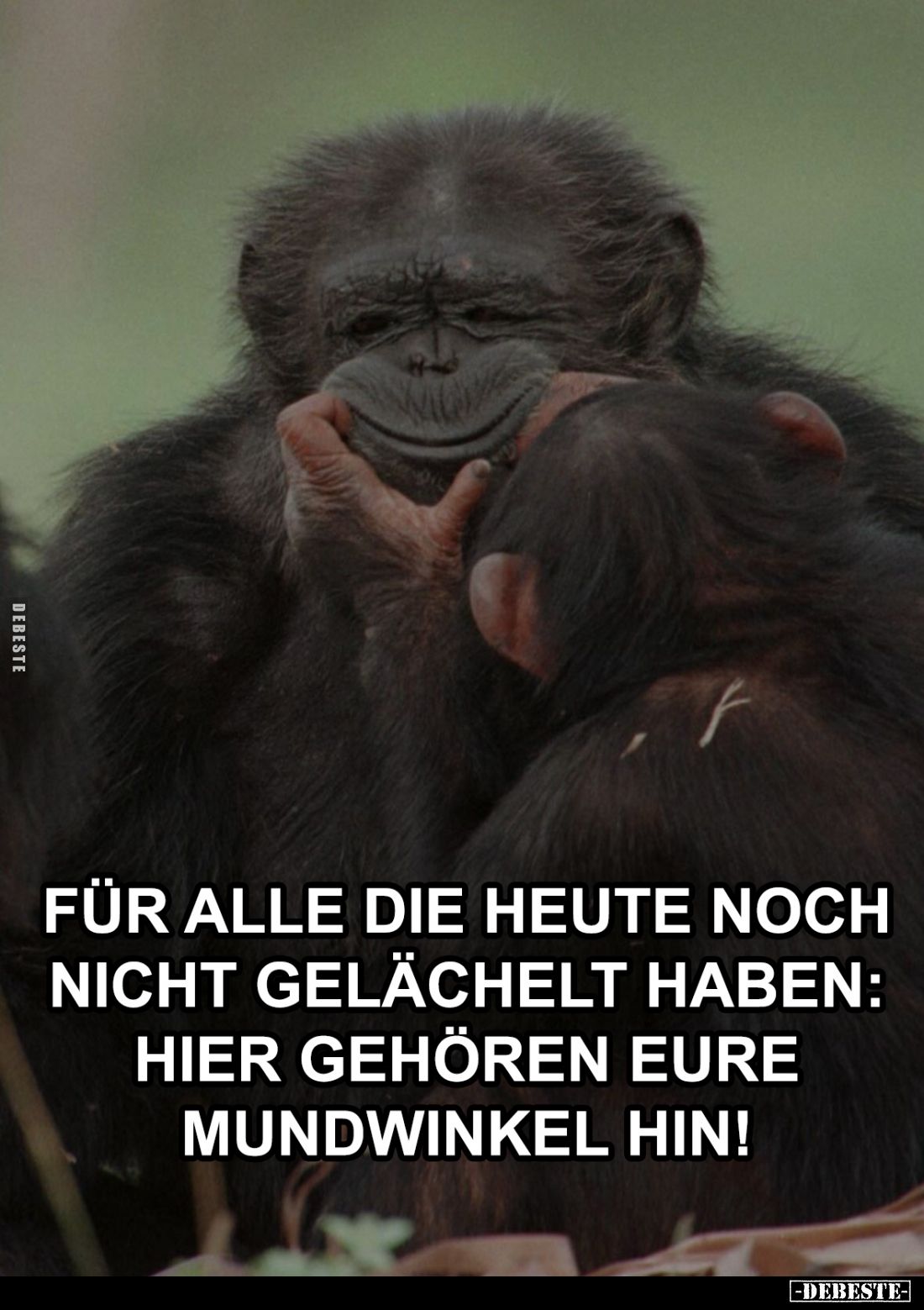 Für alle die heute noch nicht gelächelt haben: Hier gehören eure Mundwinkel hin!
