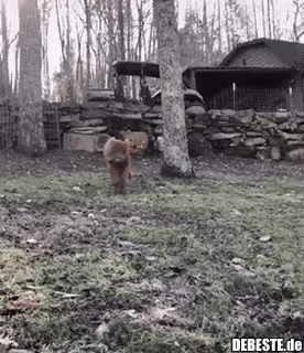 Und dann, dann kick ich dich so..