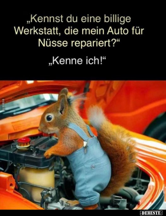 "Kennst du eine billige Werkstatt, die mein Auto..".. - Lustige Bilder | DEBESTE.de