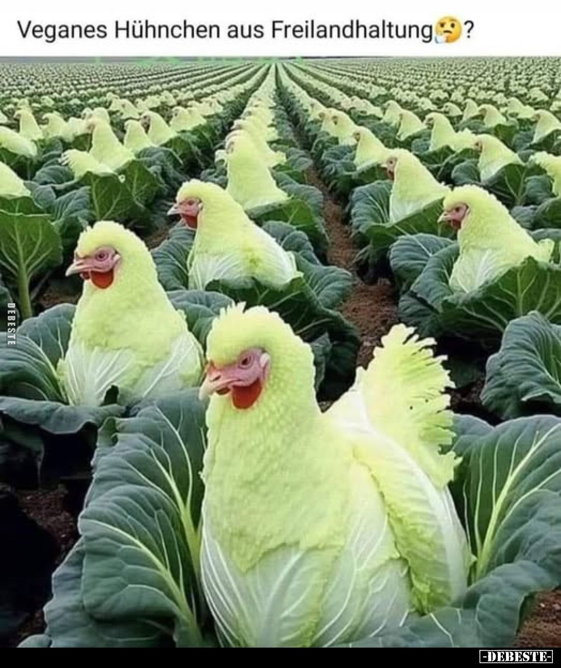 Veganes Hühnchen aus Freilandhaltung?