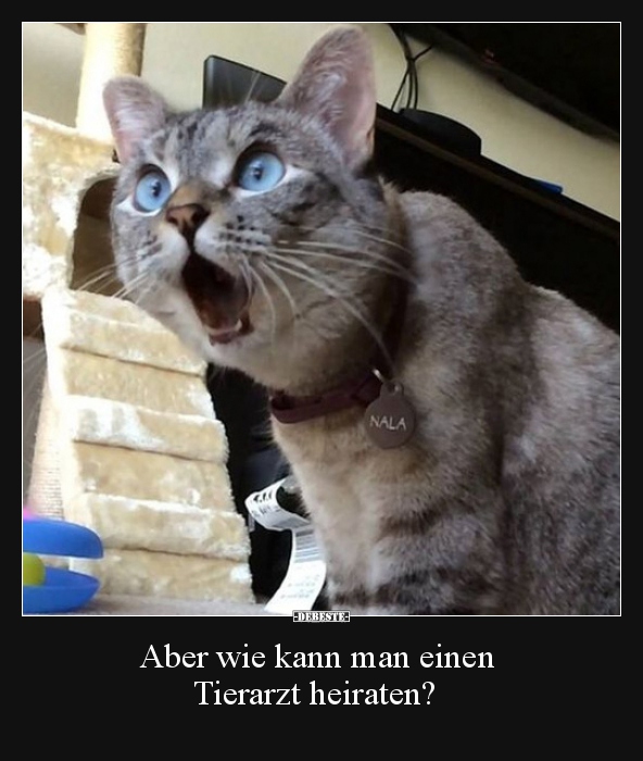 Aber wie kann man einen Tierarzt heiraten?.. - Lustige Bilder | DEBESTE.de