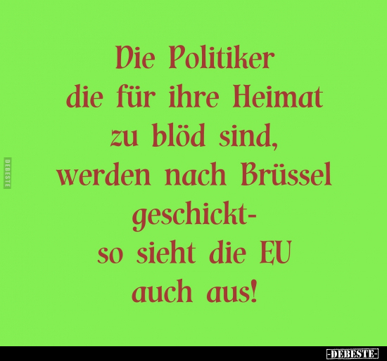 Die Politiker die für ihre Heimat zu blöd sind, werden nach.. - Lustige Bilder | DEBESTE.de