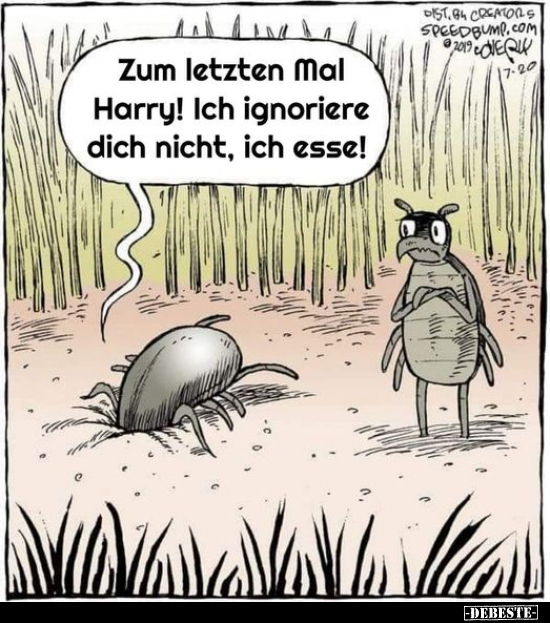 Zum letzten Mal Harry! Ich ignoriere dich nicht, ich esse!