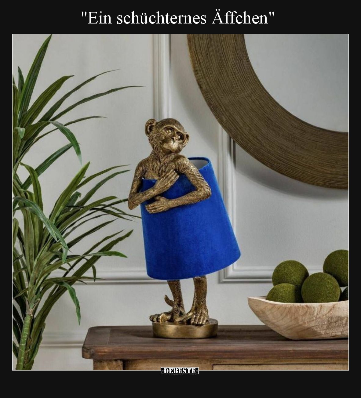 Ein schüchternes Äffchen