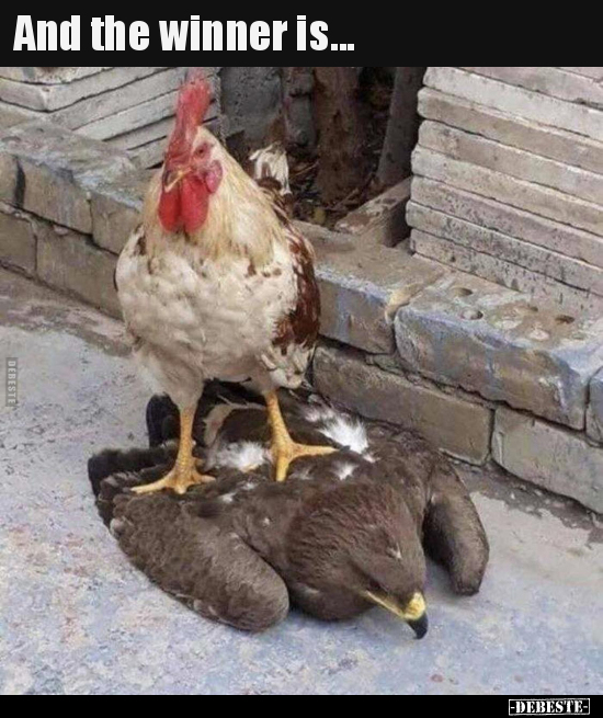 And the winner is...