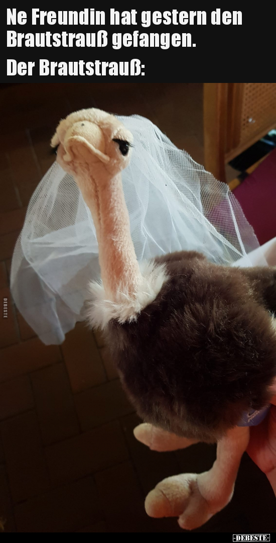 Ne Freundin hat gestern den Brautstrauß gefangen... - Lustige Bilder | DEBESTE.de