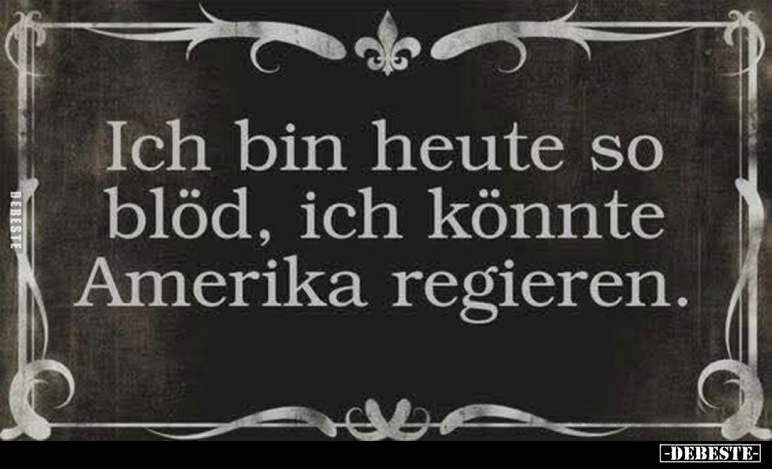 Ich bin heute so blöd, ich könnte Amerika regieren.