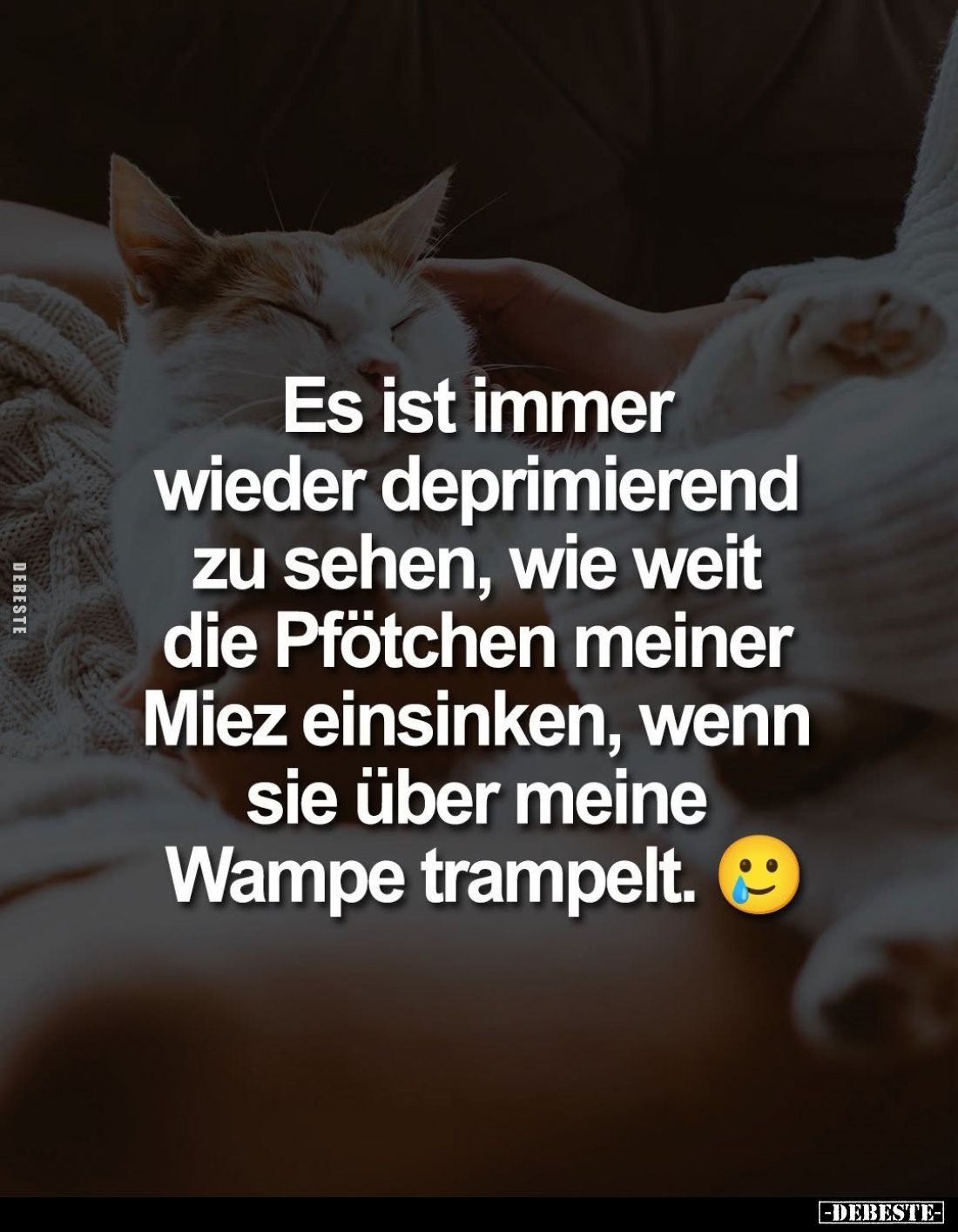 Es ist immer wieder deprimierend zu sehen, wie weit die Pfötchen meiner Miez einsinken, wenn sie über meine Wampe trampelt.
