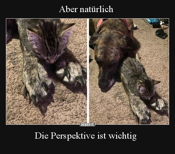 Die Perspektive ist wichtig.. - Lustige Bilder | DEBESTE.de