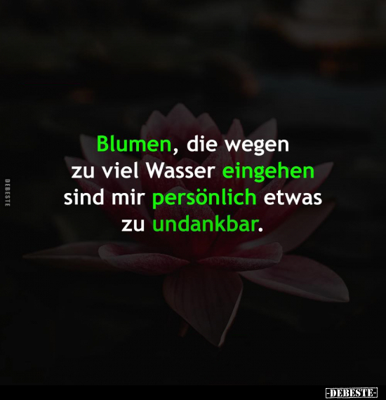 Blumen, die wegen zu viel Wasser eingehen.. - Lustige Bilder | DEBESTE.de