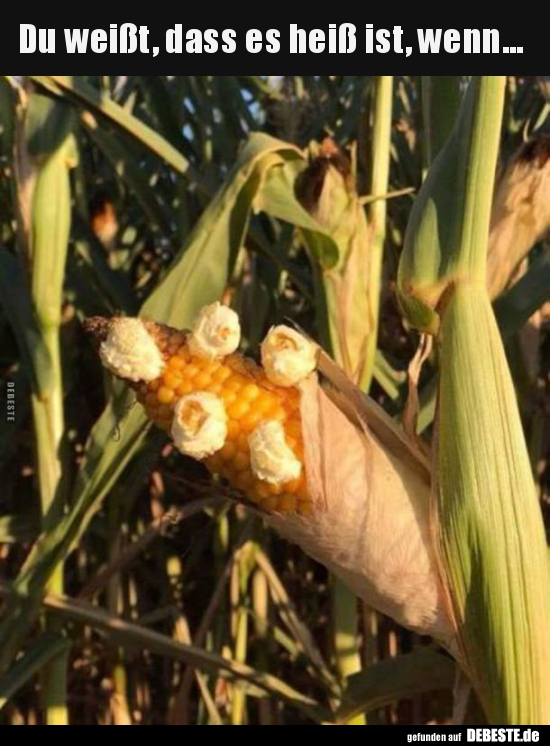 Du weißt, dass es heiß ist, wenn...