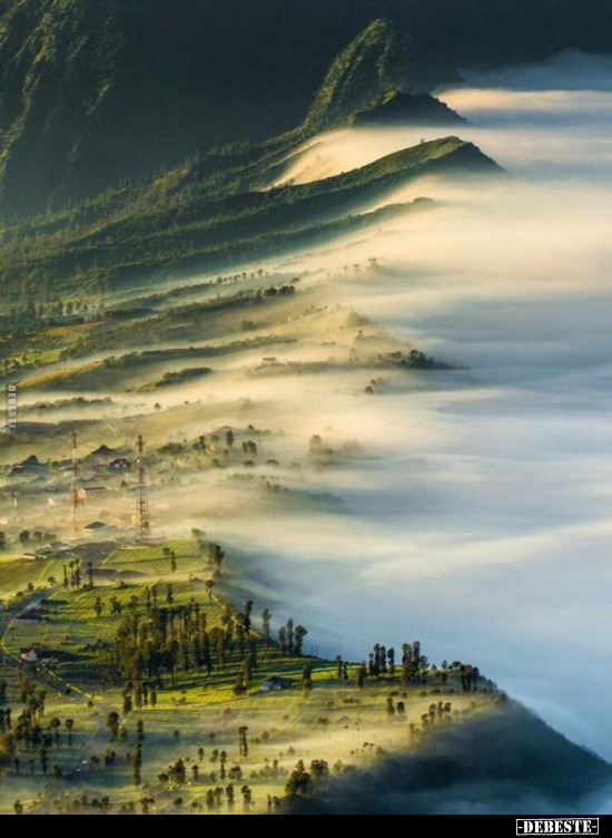  - Lustige Bilder | DEBESTE.de