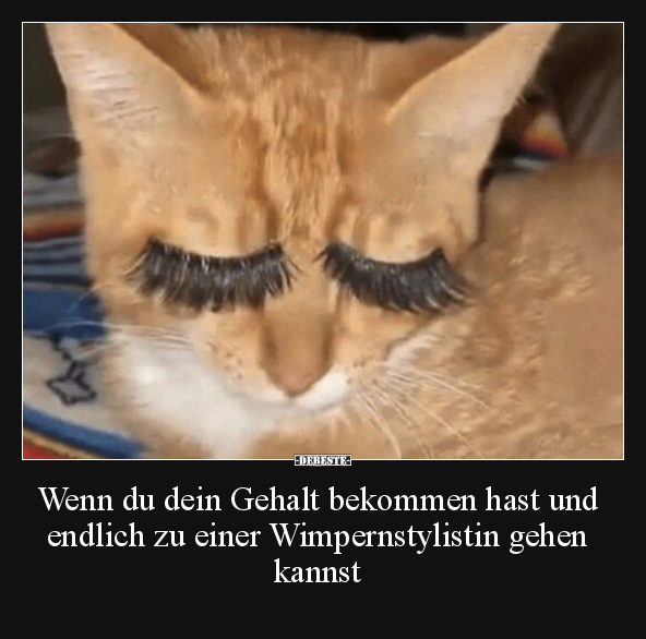 Wenn du dein Gehalt bekommen hast und endlich zu einer.. - Lustige Bilder | DEBESTE.de