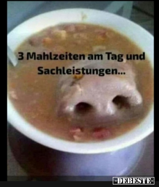  - Lustige Bilder | DEBESTE.de