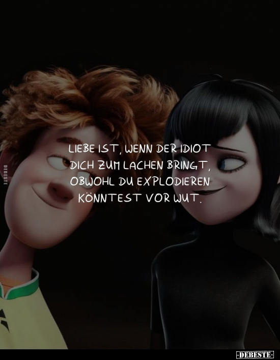 Liebe ist, wenn der Idiot dich zum Lachen bringt.. - Lustige Bilder | DEBESTE.de