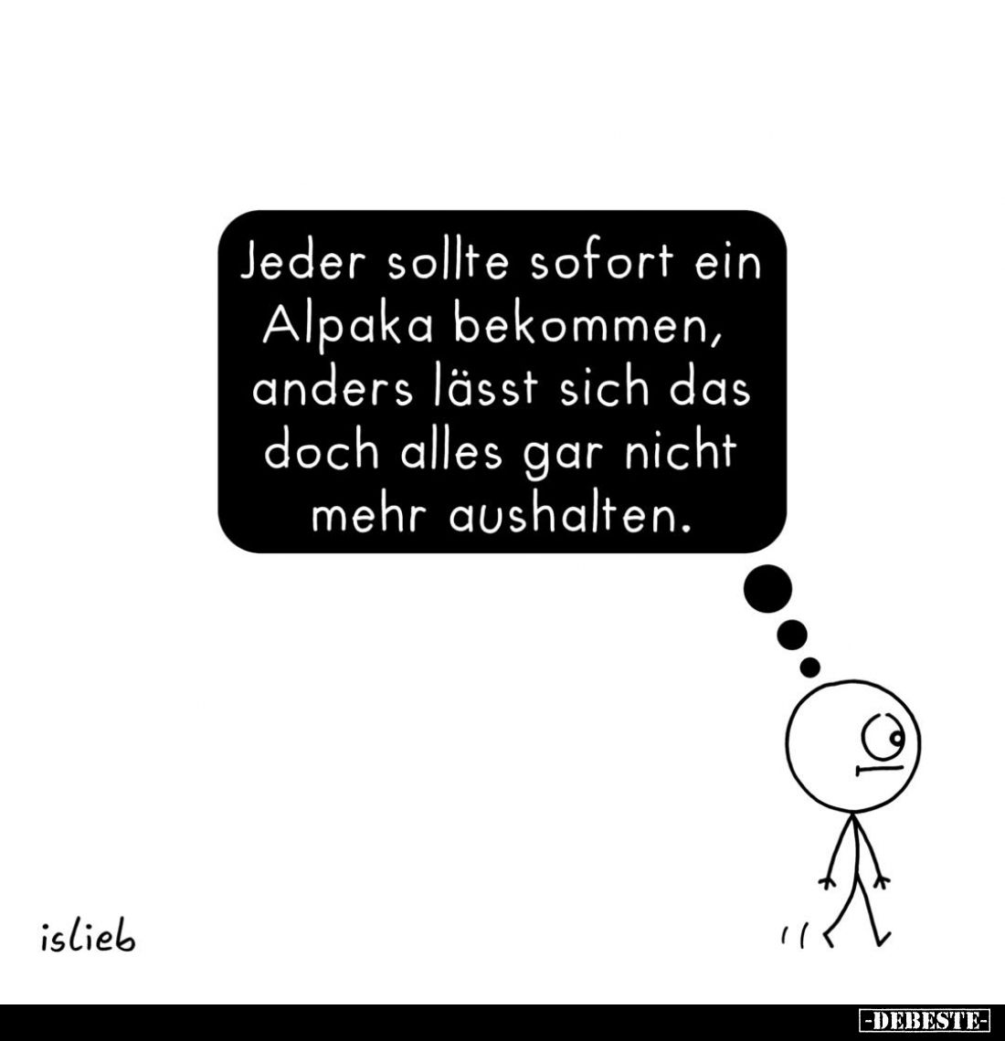 Jeder sollte sofort ein Alpaka bekommen, anders lässt sich das doch alles gar nicht mehr aushalten.