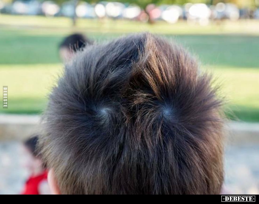  - Lustige Bilder | DEBESTE.de