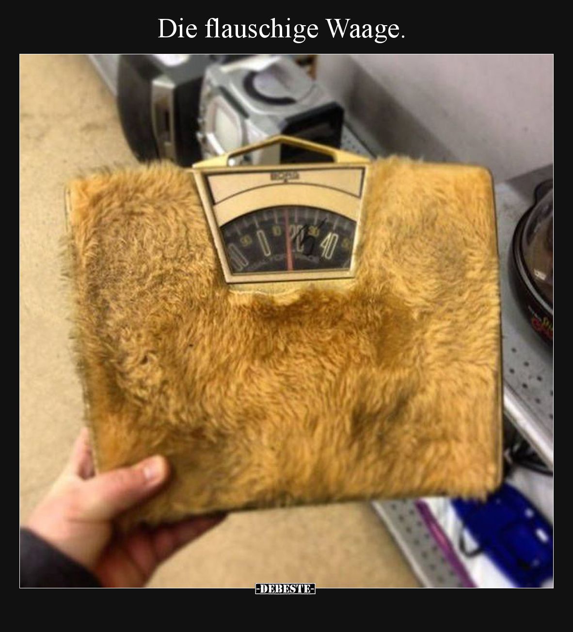 Die flauschige Waage