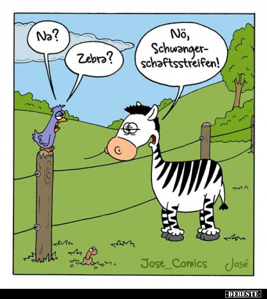 Na? Zebra?.. - Lustige Bilder | DEBESTE.de