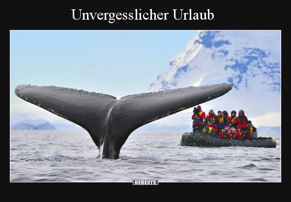 Unvergesslicher Urlaub.. - Lustige Bilder | DEBESTE.de