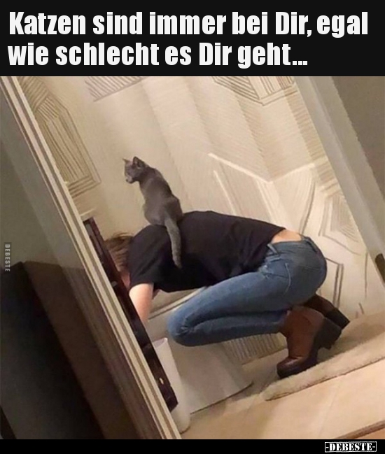 Katzen sind immer bei Dir, egal wie schlecht es Dir..