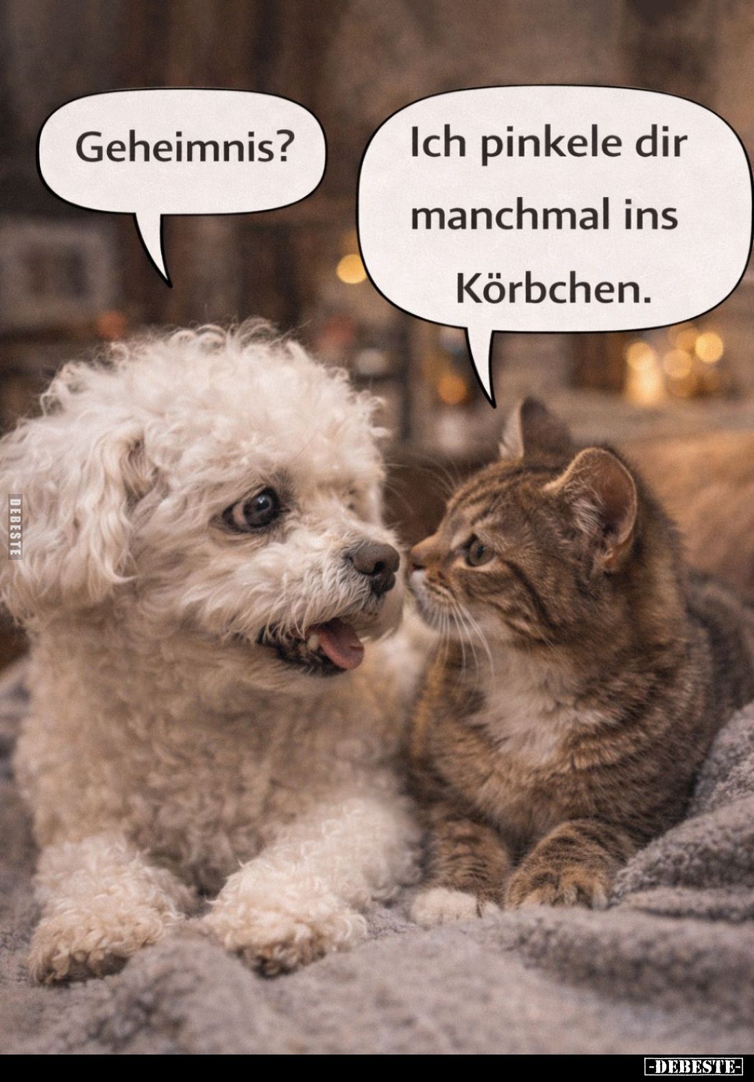 Geheimnis? -
Ich pinkele dir manchmal ins Körbchen.